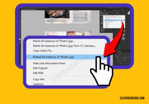 Image result for InDesign Embed Images