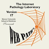 Image result for Bootstrap WebPath