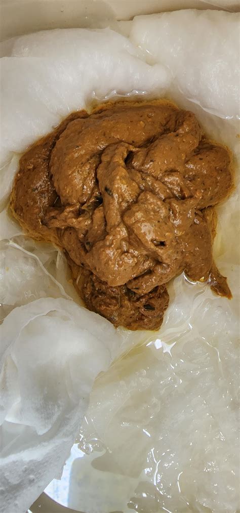 Image result for Poop Out of a Tree