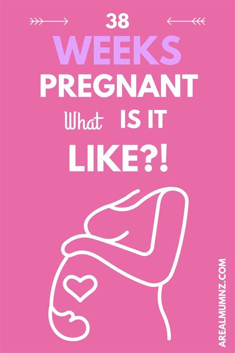 stress 8 weeks pregnant