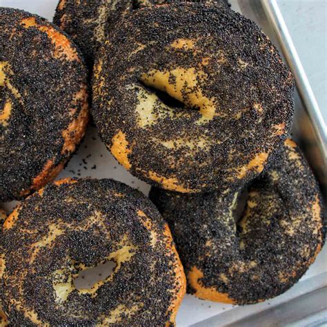 Poppy Seed Bagel