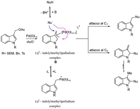 Palladium-Catalyzed Tsuji–Trost-Type Reaction of 3 ...