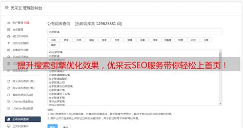 关键词优化软件乐云seo排名（专业关键词优化平台） - 恩派SEO