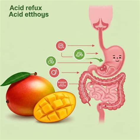 Mango for Acid Reflux -Buy Low-Acid Mangoes Online – AlphonsoMango.in