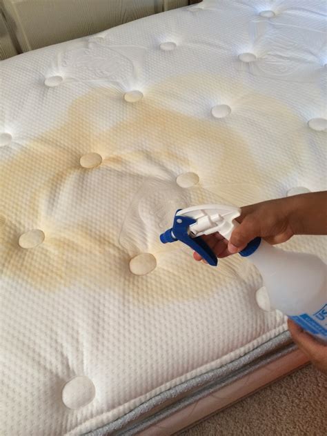 How To Remove Pee Stain From White Comforter at Sybil Downing blog