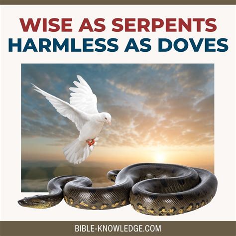 Serpent Bible