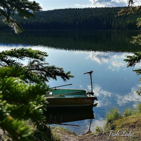 FISH LAKE PROVINCIAL RECREATION AREA (2025) All You Need to Know BEFORE ...