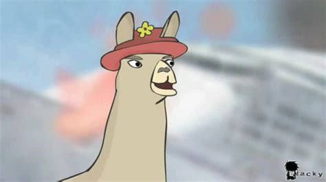 Llamas With Hats Wallpapers - Wallpaper Cave