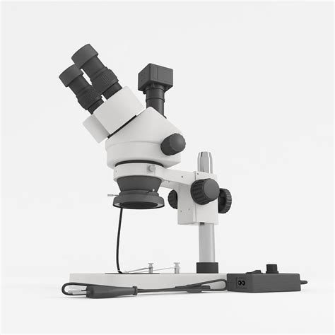 Stereo Microscope 的图像结果