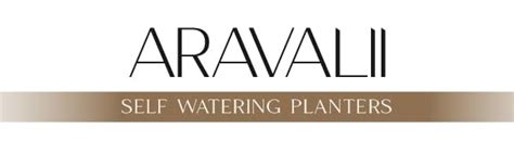 AGLAONEMA SNOW WHITE IN SELF WATERING PLANTER : Amazon.in: Garden ...