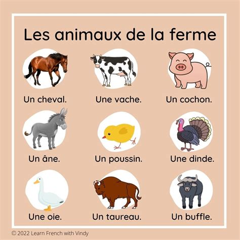 Farm Animals in French