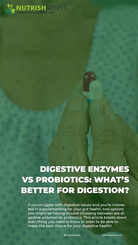 Difference Between Digestive Enzymes And Probiotics at Wilfred Mccarty blog