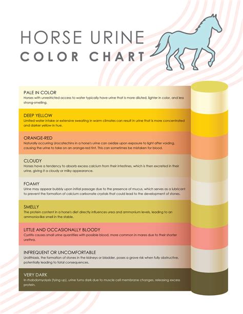 Printable Horse Urine Color Chart - WordLayouts