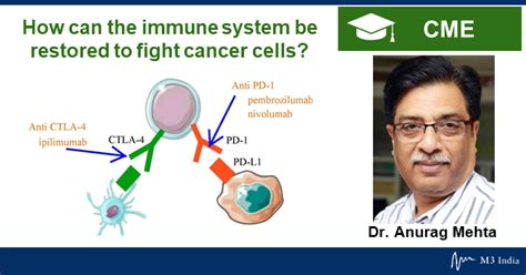 How can the immune system be restored to fight cancer cells?