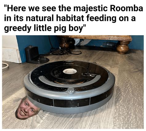 well that sucks : r/Wellthatsucks