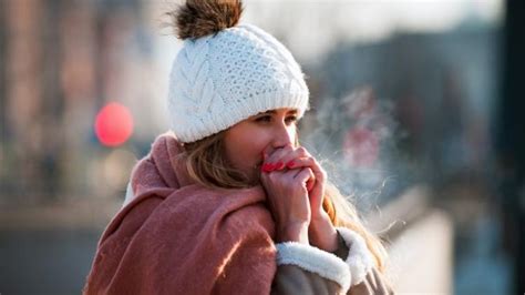 Lungs Health in Winter: শীতে সবচেয়ে বেশি ক্ষতি হয় ফুসফুসের, এই ৫ ...