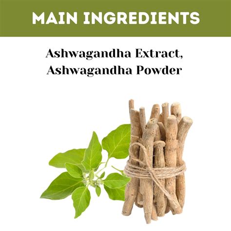Buy Ashwagandha Capsule – Natural Stress Relief and Immune Support ...