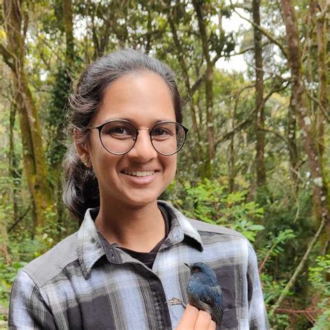 People - New - SHOLA SKY ISLANDS