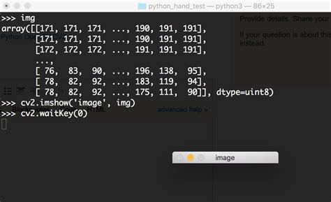 Add Text On Images Using OpenCV in Python 的图像结果