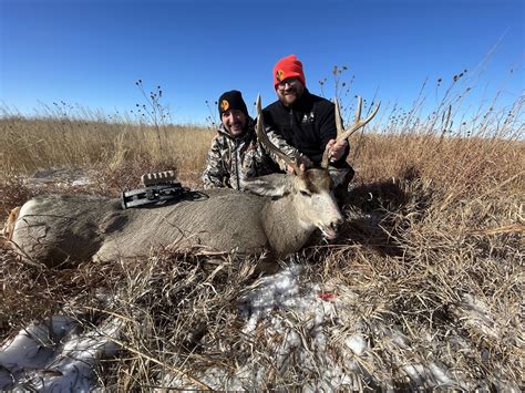 How to Get a Colorado Big Game Tag: 2024 Edition — Fall Obsession