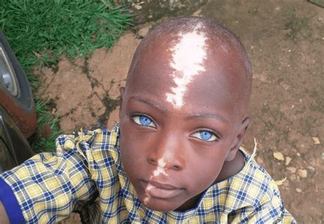 Beautiful Genetics 的图像结果