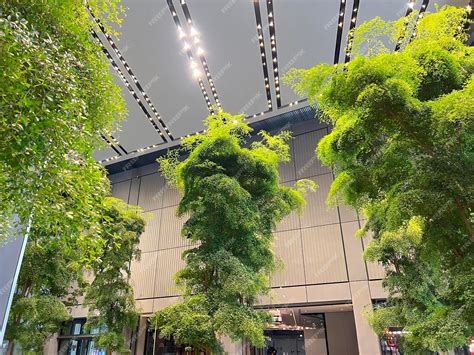 Tree Inside Building 的图像结果