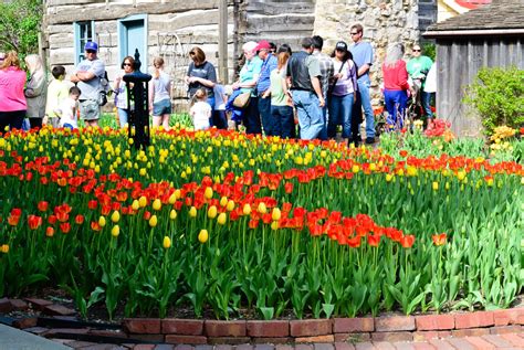 Pella Tulip Festival – Travel and Experiences – Medium