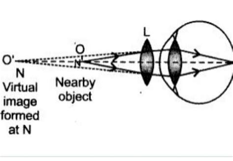 Study the diagram given below and answer the questions that follow it ...