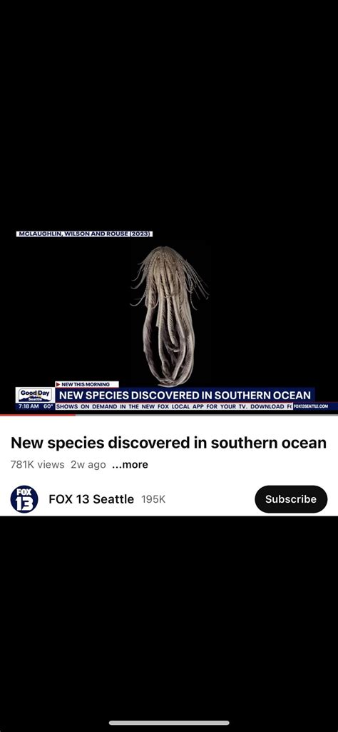 I found the ice spice buss it challenge : r/YourRAGE