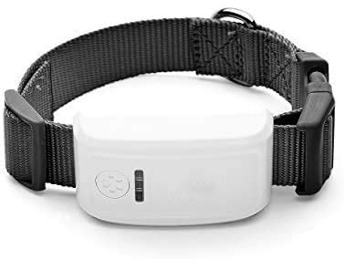 Pet Tracker,Pet GPS Tracker for Dog, The 2nd Generation Anti- Lost Dog ...