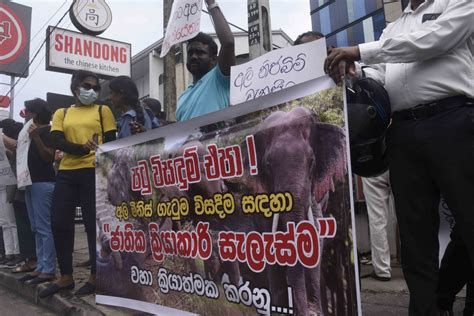 No-Trade No Killing 的图像结果