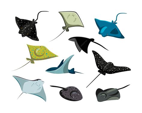 Stingray Clip Art Free