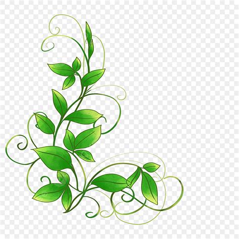 Elegant Vine Clip Art