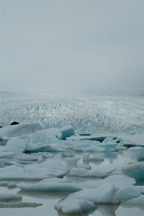 Nature JPG-Format 的图像结果