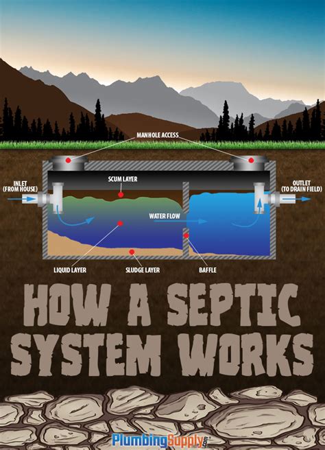 Image result for How a Septic System Works Animation