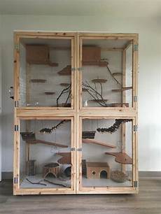 gabbie per criceti fai da te cage pour chinchillas aminals chinchilla gabbie per criceti fai da te cage pour chinchillas aminals chinchilla