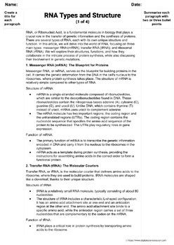 RNA Types 的图像结果