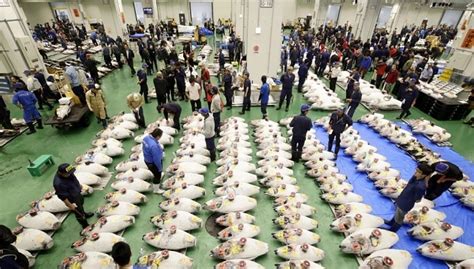 Tokyo: Neuer Toyosu-Fischmarkt wird kommenden Samstag eröffnet