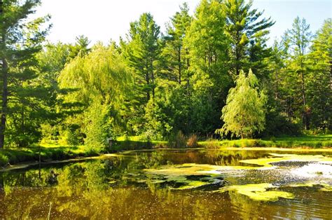 Mirabel Tourism (2024): All You Need to Know Before You Go