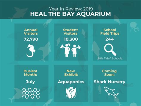 Heal the Bay Year in Review: 2019 - Heal the Bay