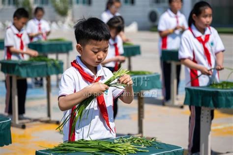 知识大比拼设计图__广告设计_广告设计_设计图库_昵图网nipic.com