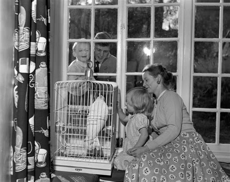 Sir David Attenborough at home: 10 photos of the centenarian's life off ...
