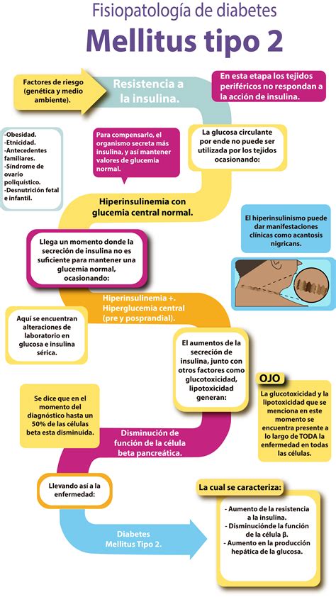 Diabetes Mellitus Tipo 2 Fisiopatologia - BRAINCP