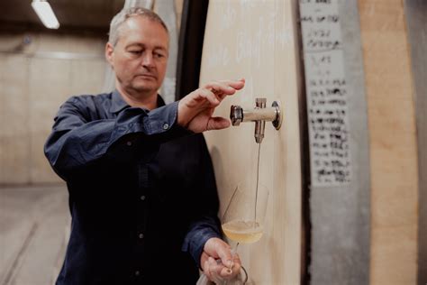 Low Sugar vs. Sugar-Free Wines: Understanding the Difference – Dry Farm ...