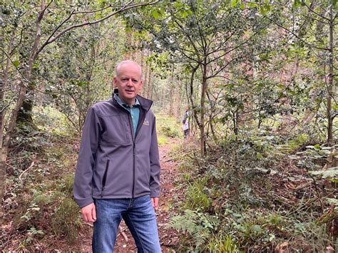 How Ireland’s forests are undergoing a revolution to boost biodiversity ...