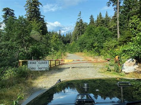 Unplugged Adventures (Juneau) - 2021 What to Know Before You Go (with ...