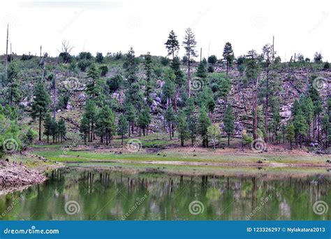 Black Canyon Lake, Navajo County, Arizona, United States, Apache ...