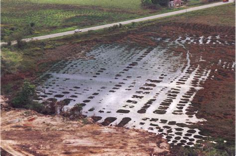 Pre-Columbian Earthworks in Coastal Amazonia