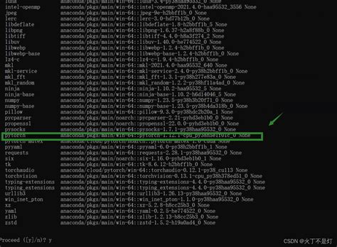 Python Import Torch Windows 的图像结果