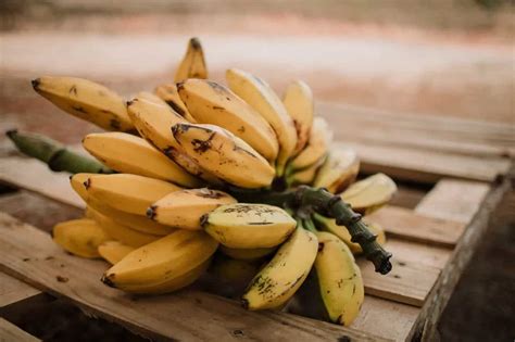 Banana Republic: How Guatemala's Govt Was Overthrown For Bananas